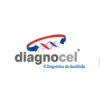 Diagnocel Comércio e Representações Ltda Diagnocel Comércio e Representações Ltda