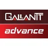 Gallantt Group Gallantt Group