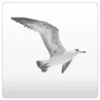 Neptune Society of Northern California