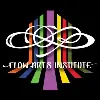 Flow Arts Institute