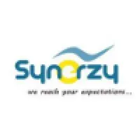 Synerzy Associates