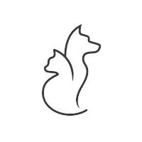 Wisconsin Veterinary Neurology and Surgical Center