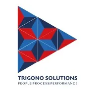 TRIGONO SOLUTIONS