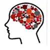 Center for Translational Cognitive Neuroscience Center for Translational Cognitive Neuroscience