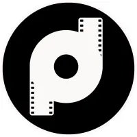 Decentralized Pictures Foundation
