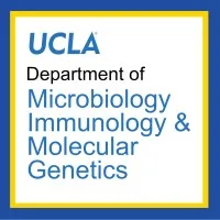 UCLA Department of Microbiology, Immunology and Molecular Genetics