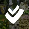 ViaVerde Consultoria Agropecuária ViaVerde Consultoria Agropecuária