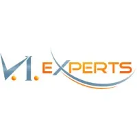 V.I. Experts