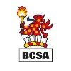 BCSA - British Constructional Steelwork Association BCSA - British Constructional Steelwork Association