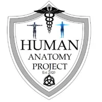 Human Anatomy Project