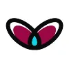 Dreamyflies Dreamyflies