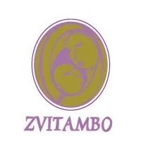 Zvitambo