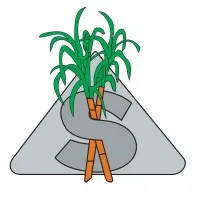 SUGAR CANE GROWERS FUND SUGAR CANE GROWERS FUND