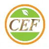 CEF Group CEF Group
