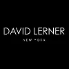 David Lerner NY
