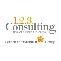 123 Consulting 123 Consulting