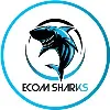 Ecomsharks - Social Media Content Agency