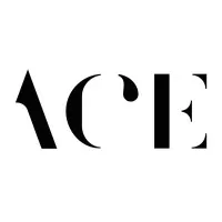 Artists Creating Entertainment