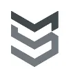 MS Group