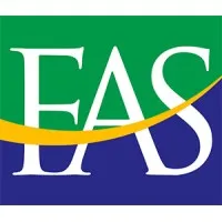 Fine Accounting Services