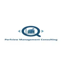 Perfview Management Consulting