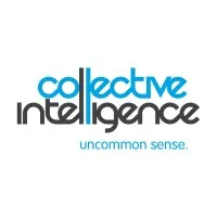 Collective Intelligence Pty Collective Intelligence Pty