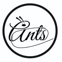 Aayan Network Technology Solutions Pvt. Ltd.