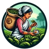 Assam Amrut Assam Amrut