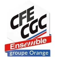 CFE-CGC Orange CFE-CGC Orange