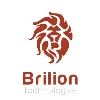 BrilionSoftware BrilionSoftware