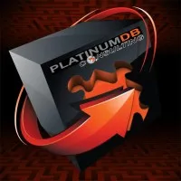 Platinum DB Consulting, Inc. Platinum DB Consulting, Inc.