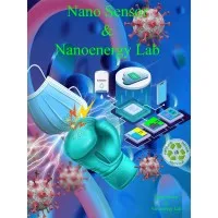 Nanosensors and Nanoenergy Lab