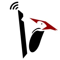 Woodpecker Microsystems