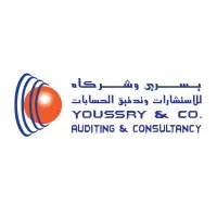 Youssry & Co. Auditing and Consultancy