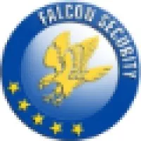 Falcon Security