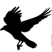 Blackbird Digital Holdings, LLC