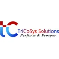TriCoSys Solutions TriCoSys Solutions