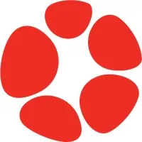 5D Consulting