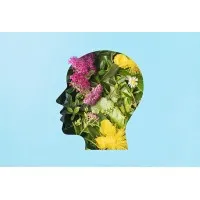 Tampa Therapy & Wellness