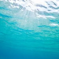 Transcendence Pacific LLC