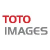 TOTO IMAGES, INC. TOTO IMAGES, INC.