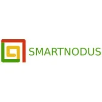 SmartNodus Consultores