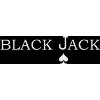 BLACK JACK DESIGNS (P) LTD BLACK JACK DESIGNS (P) LTD