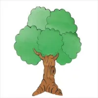 XXXX Sao Paulo, Brazil