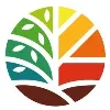 Botanic Origin Botanic Origin