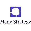 Many Strategy Many Strategy