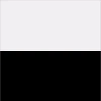 MSD Services MSD Services