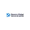 DEMMY GLOBAL RESOURCES LIMITED