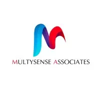 MultySense Associates Pvt Ltd