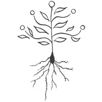 Springtail AI